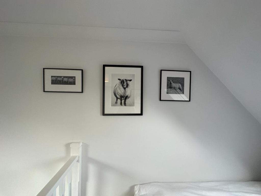 The Annex, Westerlands,